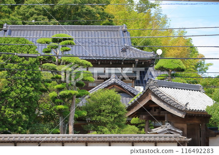Tile roof image 116492283