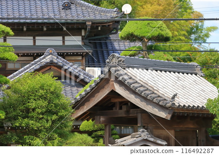 Tile roof image 116492287