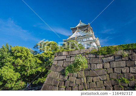 大阪城風景 116492317