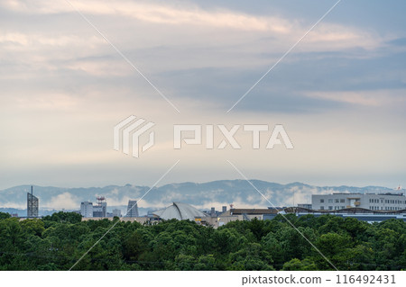 遠處看到的城市景觀 116492431