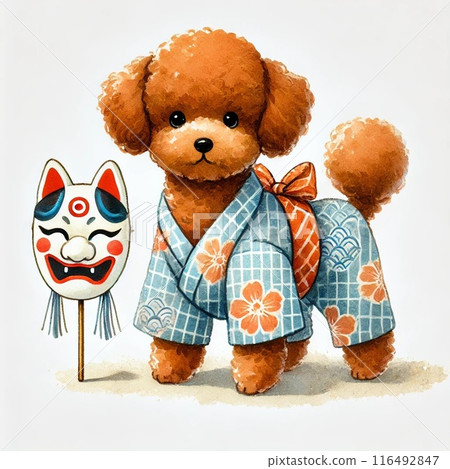 穿著浴衣的玩具貴賓犬的插圖 116492847