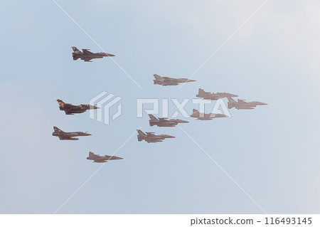 北約空軍虎肉大編隊飛行 北約空軍虎肉大編隊飛行 116493145