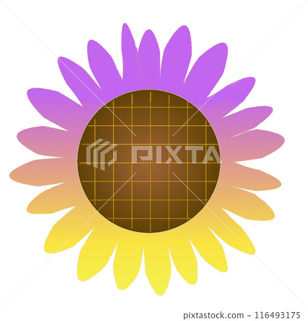 向日葵 116493175