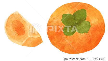 美味的柿子2水彩觸感 美味的柿子2水彩觸感 116493306