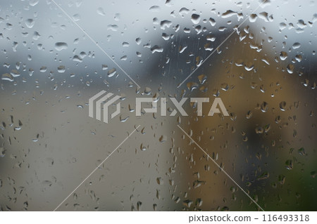 Water drops on the window 116493318