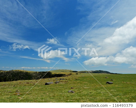 Utsukushigahara Highlands, the largest highland plateau in Japan Utsukushigahara Highlands, the largest highland plateau in Japan 116493379