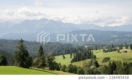 Idyllic landscape with green pastures, forests and mountains in backdrop, Europe, Slovakia Idyllic landscape with green pastures, forests and mountains in backdrop, Europe, Slovakia 116493438