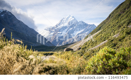Massive snowy mountain with glacier towering above scenic alpine valley, Mt Cook, New Zealand Massive snowy mountain with glacier towering above scenic alpine valley, Mt Cook, New Zealand 116493475