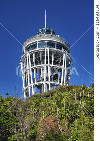 [Fujisawa City] Enoshima Sea Candle 116493834