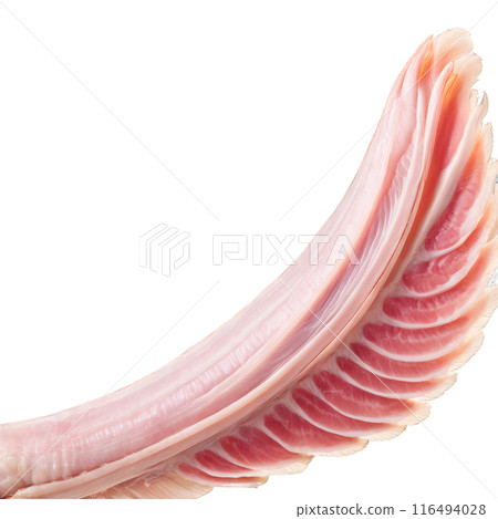 Raw turkey wings pale pink hue skin on photographed with a macro lens 116494028