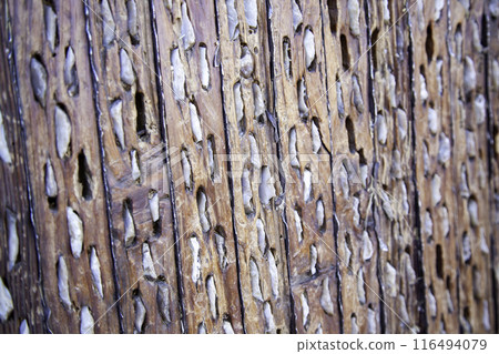 Detail of old wooden plow with embedded stones Detail of old wooden plow with embedded stones 116494079