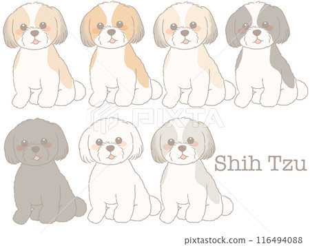 坐西施犬不同顏色套裝 116494088