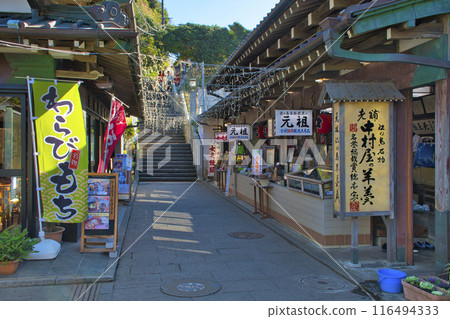 [Fujisawa City] Enoshima Oiwayamichi Street 116494333
