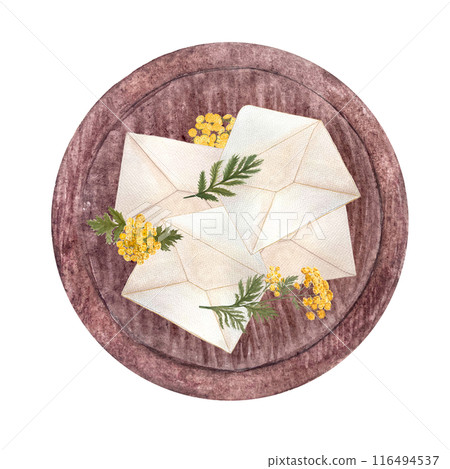 Envelopes on a wooden tray with blue tansy flowers isolated on white. Hand painted in watercolor. High quality illustration for cards, packages, essential oil, infusions, herbal tea, notebooks design 116494537