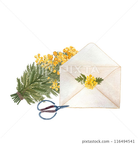 Blue tansy yellow flowers, a scissors, an envelope watercolor composition isolated on white. Hand painted high quality art great for stickers, decor and design, packages, herbal production, notebooks 116494541