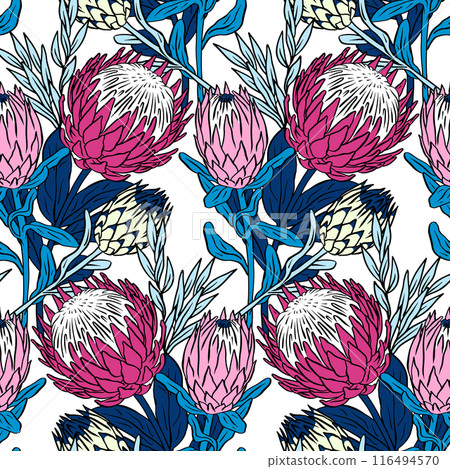 Seamless pattern with protea flowers on white background Seamless pattern with protea flowers on white background 116494570