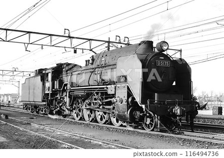 D51 steam locomotive (D51 No. 75) stopping at Niitsu 116494736