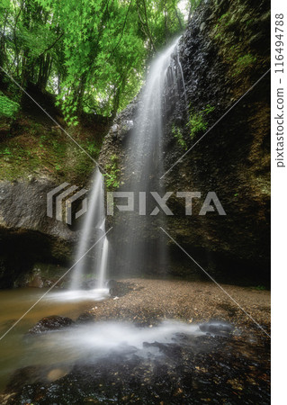 Fresh greenery and Tsukimachi Falls in Daigo Town, Ibaraki Prefecture 116494788