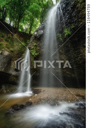 Fresh greenery and Tsukimachi Falls in Daigo Town, Ibaraki Prefecture Fresh greenery and Tsukimachi Falls in Daigo Town, Ibaraki Prefecture 116494789