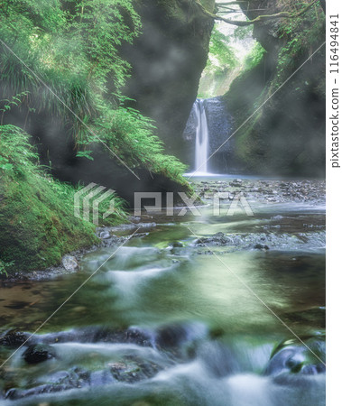 福島縣山津町、吉平的新綠與不動瀑布 116494841