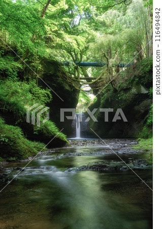 Fresh greenery and Fudotaki waterfalls at Yoshinodaira in Yamatsuri Town, Fukushima Prefecture Fresh greenery and Fudotaki waterfalls at Yoshinodaira in Yamatsuri Town, Fukushima Prefecture 116494842