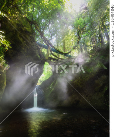 福島縣山津町、吉平的新綠與不動瀑布 116494846