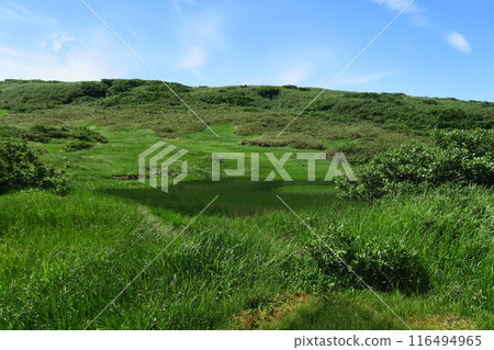 Gassan Midagahara Yamagata Prefecture Gassan Midagahara Yamagata Prefecture 116494965