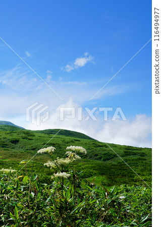 Gassan Midagahara Yamagata Prefecture Gassan Midagahara Yamagata Prefecture 116494977