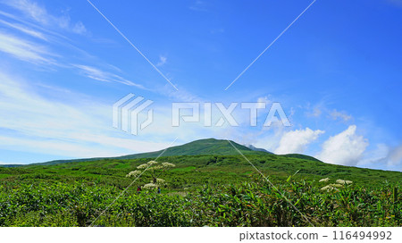 月山彌陀原山形縣 116494992
