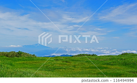 Gassan Midagahara Yamagata Prefecture 116494994