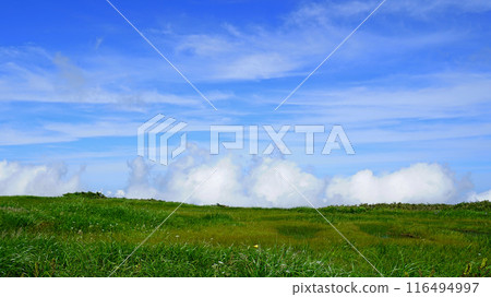 Gassan Midagahara Yamagata Prefecture 116494997