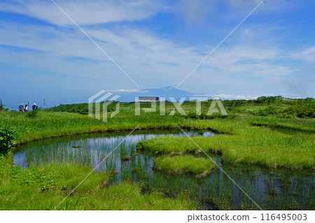 Gassan Midagahara Yamagata Prefecture Gassan Midagahara Yamagata Prefecture 116495003