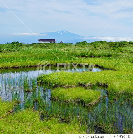 Gassan Midagahara Yamagata Prefecture 116495008