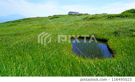 Gassan Midagahara Yamagata Prefecture Gassan Midagahara Yamagata Prefecture 116495023