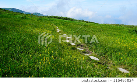 Gassan Midagahara Yamagata Prefecture Gassan Midagahara Yamagata Prefecture 116495024