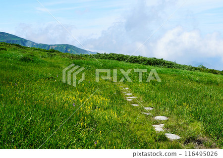 Gassan Midagahara Yamagata Prefecture Gassan Midagahara Yamagata Prefecture 116495026