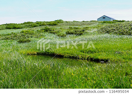 月山彌陀原山形縣 月山彌陀原山形縣 116495034