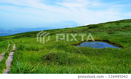 月山彌陀原山形縣 月山彌陀原山形縣 116495042