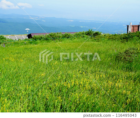 月山彌陀原山形縣 月山彌陀原山形縣 116495043