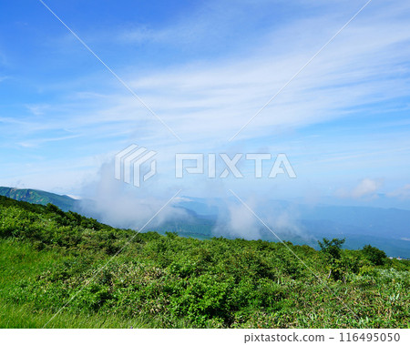 Gassan Midagahara Yamagata Prefecture Gassan Midagahara Yamagata Prefecture 116495050