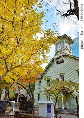Sapporo clock tower in autumn 116495093