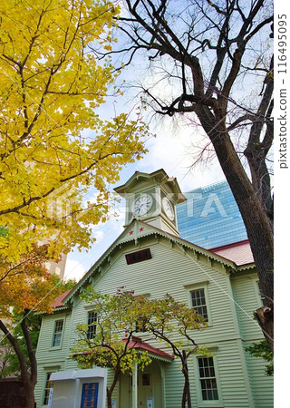 Sapporo clock tower in autumn 116495095
