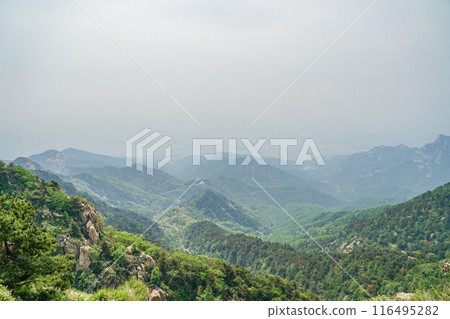 Taishan scenery Taishan scenery 116495282