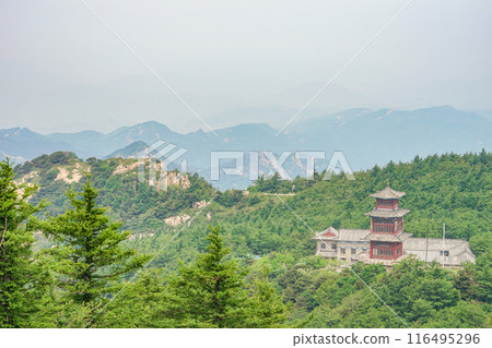 泰山風光 泰山風光 116495296