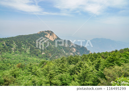 泰山風光 116495299