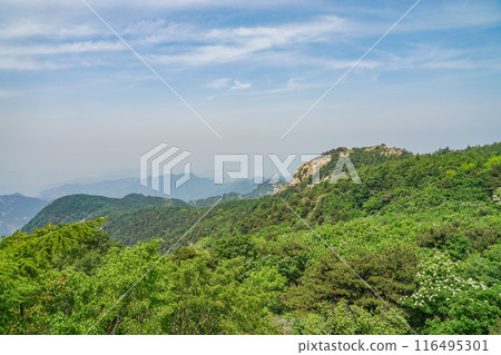 泰山風光 泰山風光 116495301