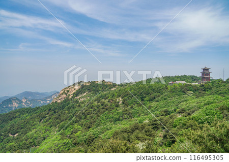 泰山風光 泰山風光 116495305