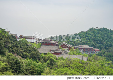 泰山風光 116495307