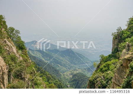 泰山風光 泰山風光 116495316