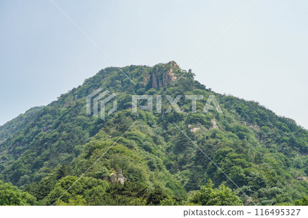 台山 台山 116495327